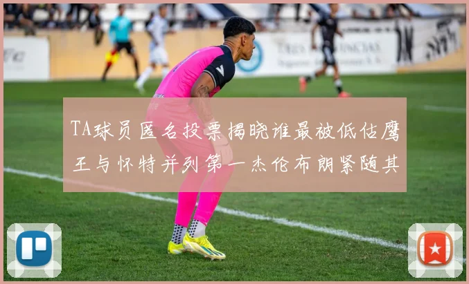 TA球员匿名投票揭晓谁最被低估鹰王与怀特并列第一杰伦布朗紧随其后