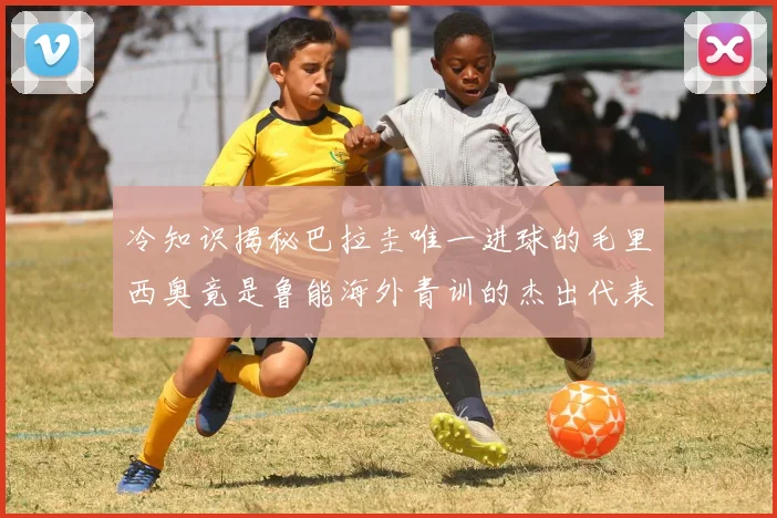 冷知识揭秘巴拉圭唯一进球的毛里西奥竟是鲁能海外青训的杰出代表